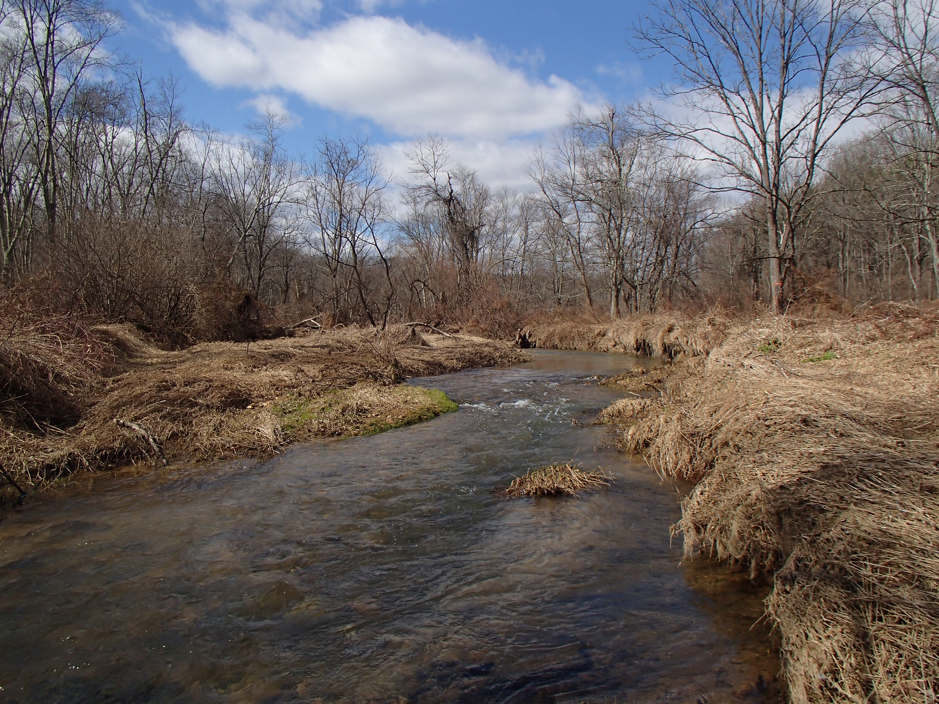Field photo showing stream conditions at site LOCH-311-R-2016_midpoint looking upstream